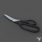 Tailor's Scissors