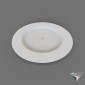 dish engraving steel 307mm