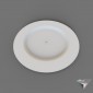 dish engraving steel 307mm