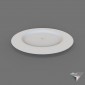 dish engraving steel 307mm